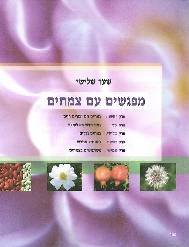 (בספר איור של ילד ולידו בועה שיש להשלים)